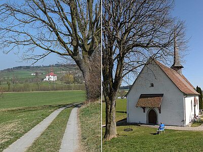 Luzerner Kapellenweg bleibt dank Kirchen erhalten